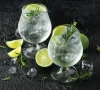 gin tonic